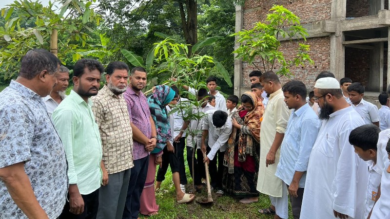 প্রধানমন্ত্রীর “ওয়ান চাইল্ড ওয়ান ট্রি” কর্মসূচি বাস্তবায়নে শাহরাস্তিতে ব্যাপক বৃক্ষরোপণ