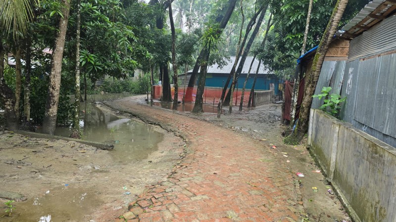 ফটিকখিরা মাইঝপাড়ায় জমাটবদ্ধ ময়লা পানিতে দুর্ভোগ, ইউএনওর হস্তক্ষেপ কামনায় এলাকাবাসীর আবেদন