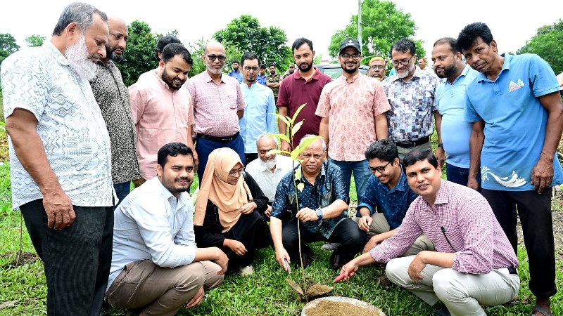 পরিবেশ রক্ষায় বৃক্ষরোপণের বিকল্প নেই : চবি উপাচার্য