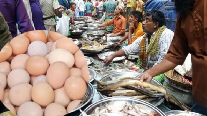 ডিমের দাম বেড়েছে, মাছের বাজারেও স্বস্তি নেই