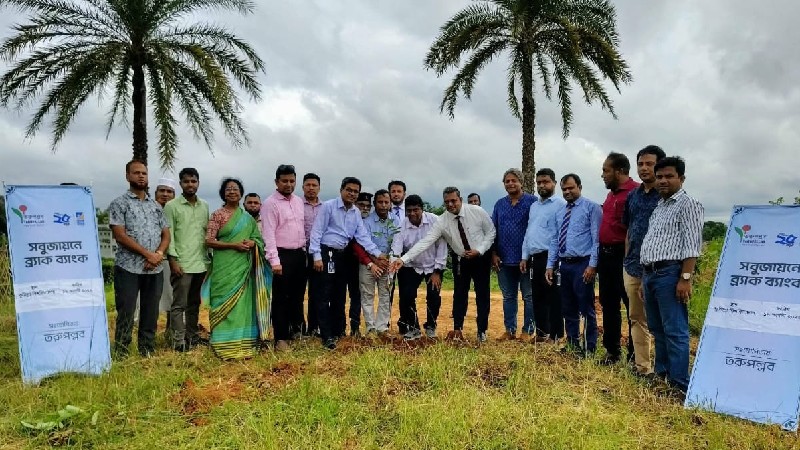 কুবিতে ব্র্যাক ব্যাংকের সহায়তায় ৩৫০০ দুর্লভ প্রজাতির গাছের চারা রোপণ শুরু