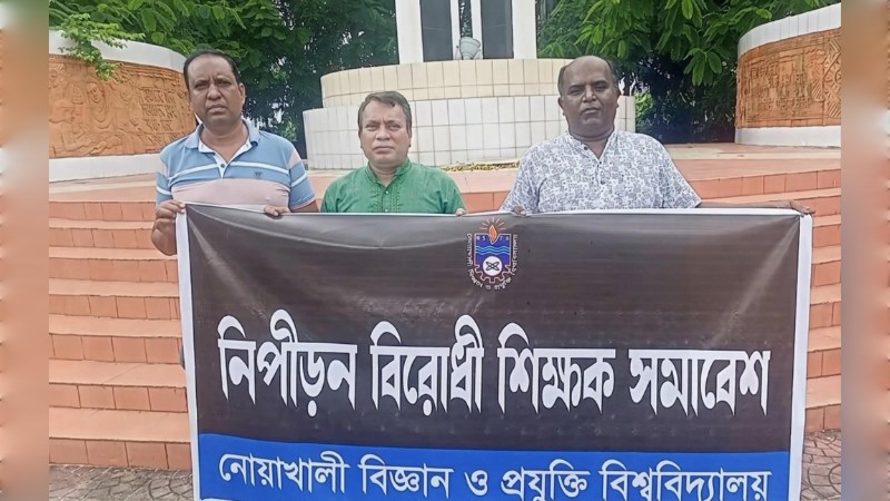 নোবিপ্রবি শহীদ মিনার থেকে প্রশাসনের শীর্ষে : জুলাইয়ের তিন শিক্ষকের আত্নকথন
