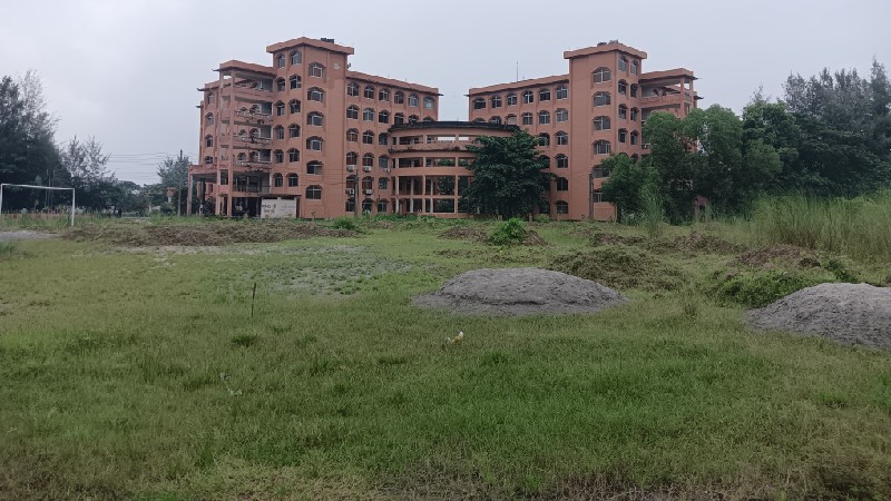 দীর্ঘ একযুগ পর শরতের কাশফুলে সাজেনি বরিশাল বিশ্ববিদ্যালয়